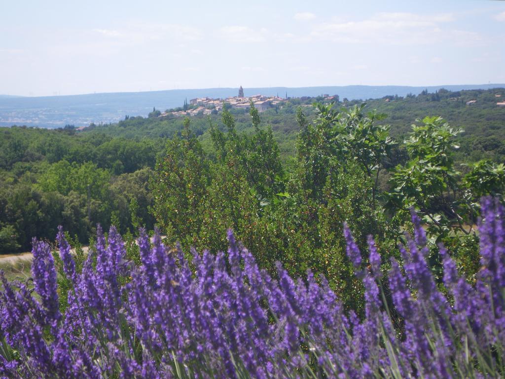 Les Esplanes Bed & Breakfast La Garde Adhemar Exterior photo